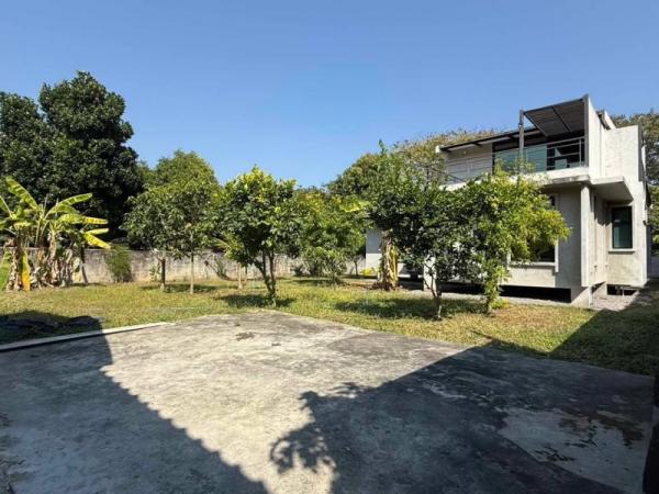 �Ң�ѭ �Ź�����