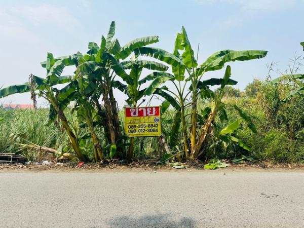 ������ �� zionasset1