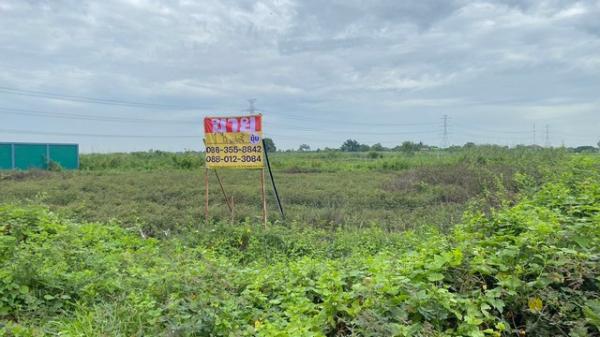 �����ҹ� �� zionasset1