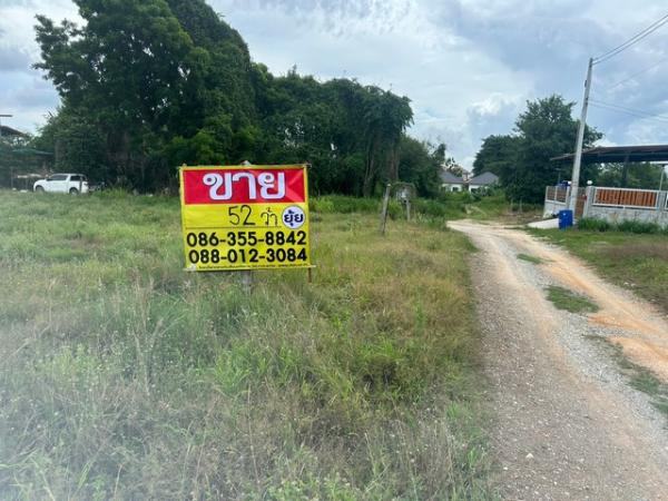 �ҧ���ا �� zionasset1