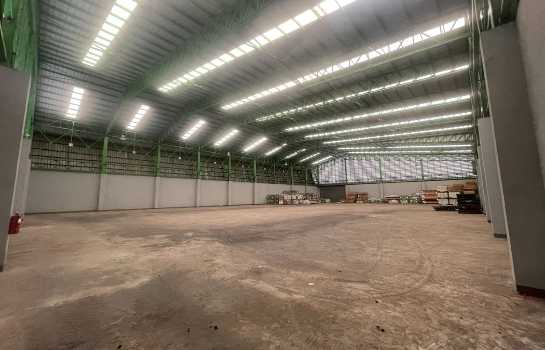 �س ��ѳ��