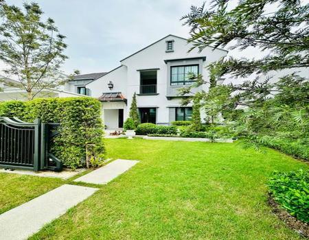 �оҹ�٧ �� incube