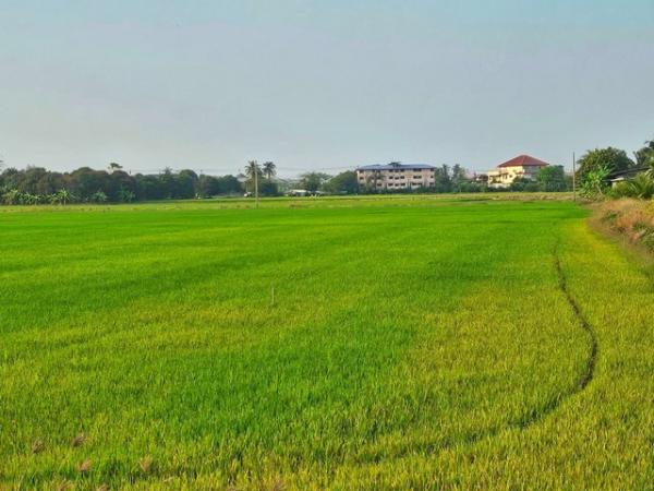 ������� �� goodlada24