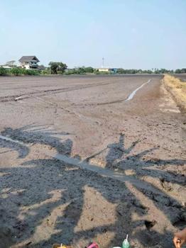 ��ͧ����� �� incube