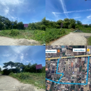 ˹ͧ�� �� All Living