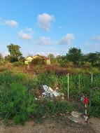 ��·��Թ �Ҥһ�С�Ȣ�� 990,000 �ҷ