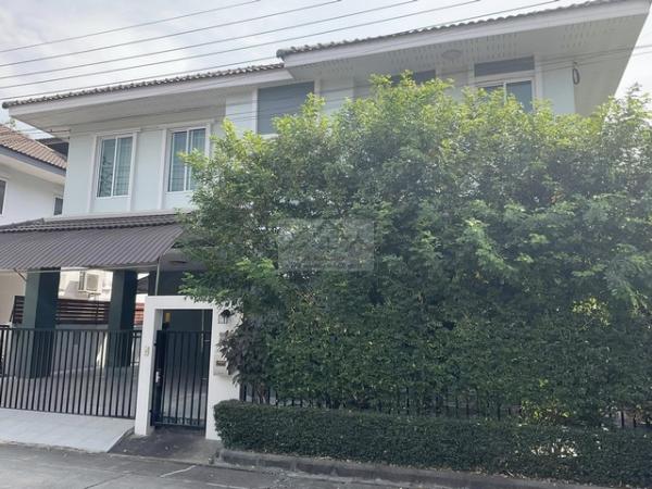 ��»����� �� asangha PL