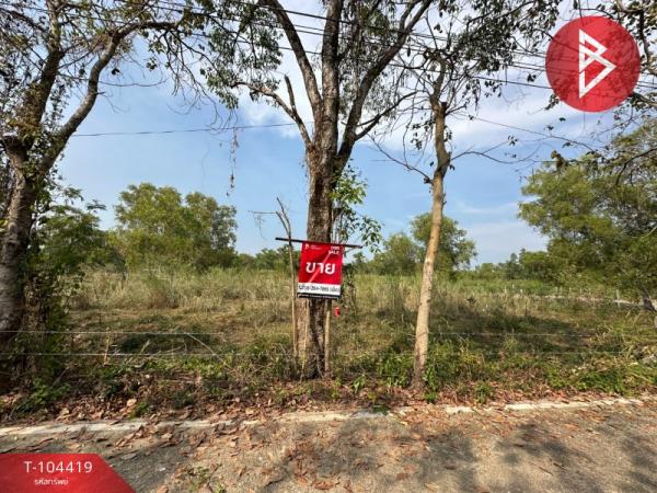 ���Թ Ŵ�Ҥ�