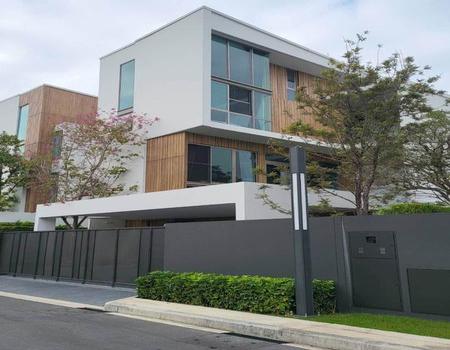 �оҹ�٧ �� incube