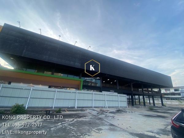 ⡴ѧ�ҧ� �� Kong property