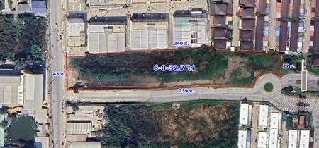 �ҧ��� �� incube