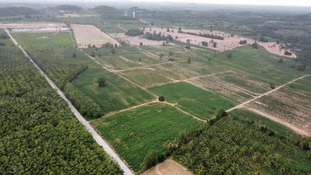 ���ͧ �� incube