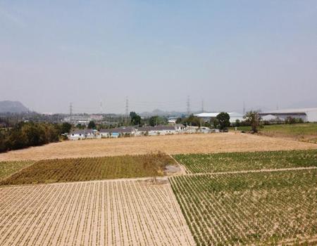 ��ªź��� �� incube