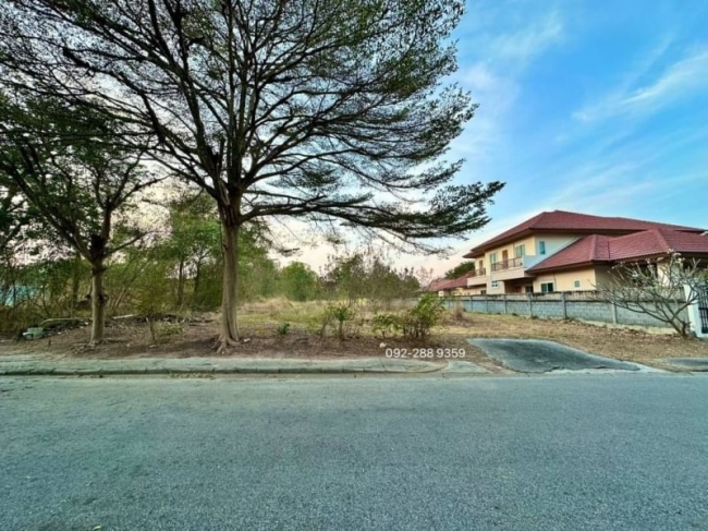 ���Թ�����������׹��� �ź���