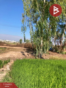 ��ɳ��š �� The Best Property Agent