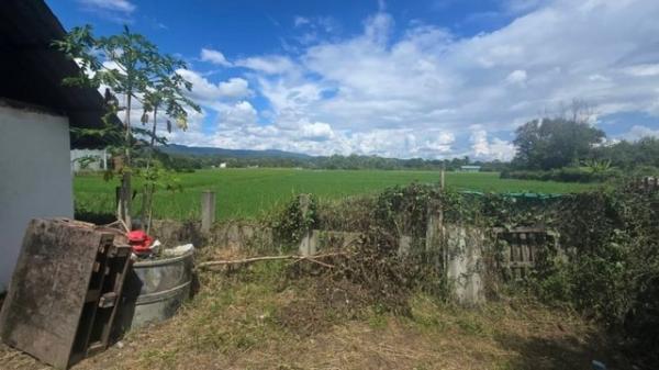 �ѹ���� �� onanong khumaphao