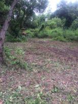 ��¸�áԨ ���ᵧ ��§����