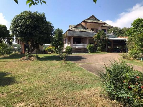 ��ҹ ��ҹ ������¹��