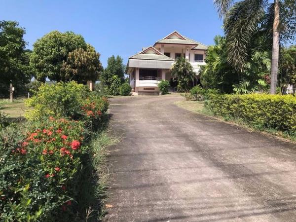 ��ҹ ��ҹ ������¹����ǹ���