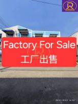 ����ç�ҹ �Ҥһ�С�Ȣ�� 50,000,000 �ҷ