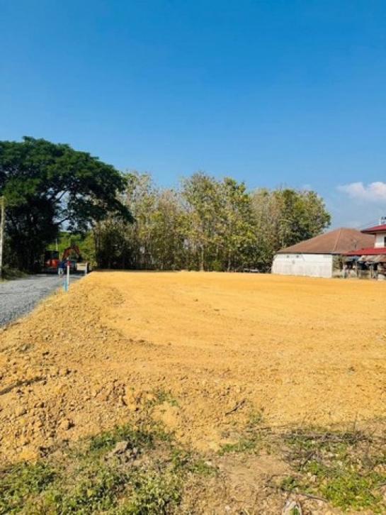 �ҧ�� �� northern1