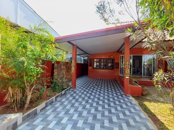 �Ң�ѭ �Ź�����