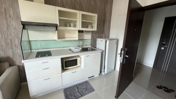 �Ң�ѭ �Ź�����