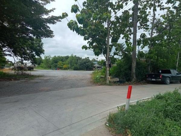 ����Ҫ� �� goodlada24