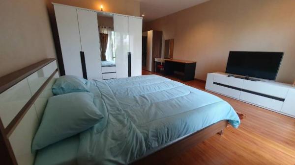 �Ң�ѭ �Ź�����