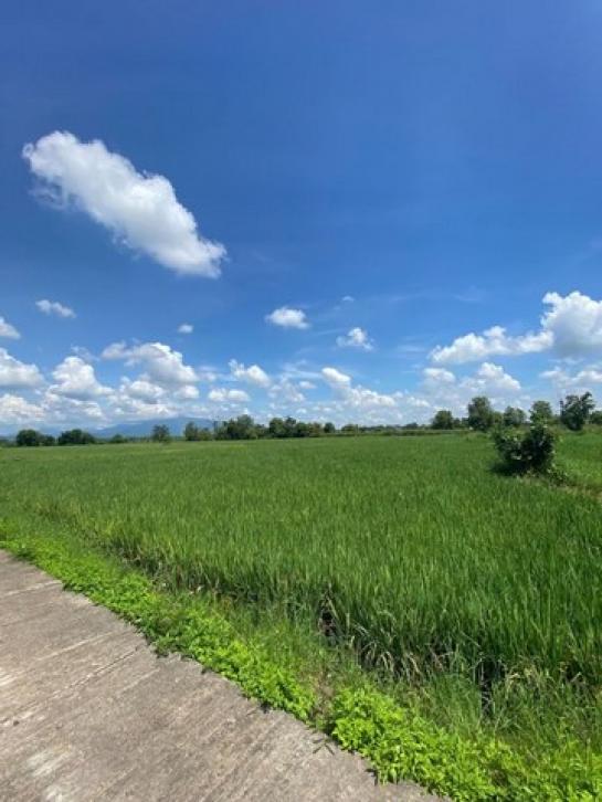 �ҧ�� �� northern1