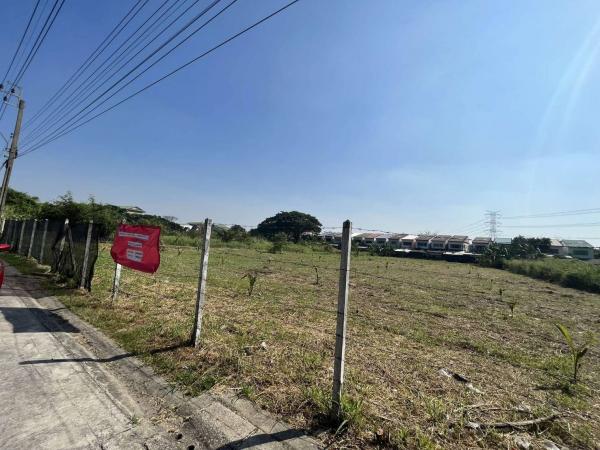 ������ �� rattana27