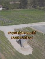 ���Թ ������� 51 ���ҧ��