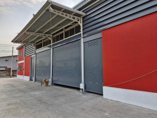 ��觤�� �� 1000property