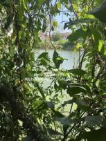 ��º�ҹ ����Ѳ�� ��ا෾