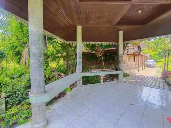 �����ԡ�