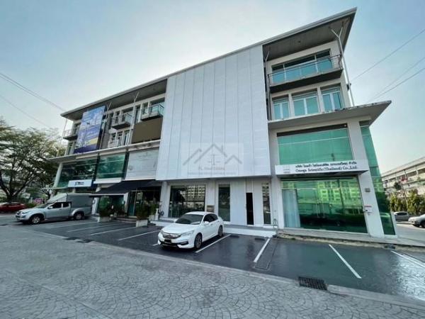 ��»����� �� coasset22