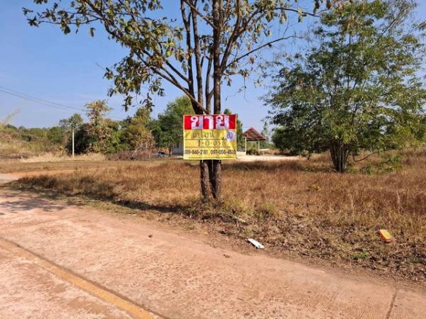 ˹ͧ��� �� zionasset1