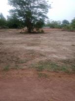 ��� ���Թ ⾹�����