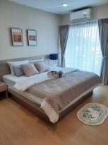 �͹� ���ͧ