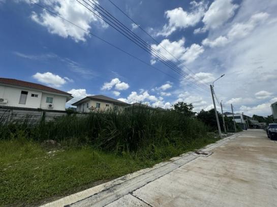 ���Թ �Դ����͹��յ 2,500,000 �ҷ