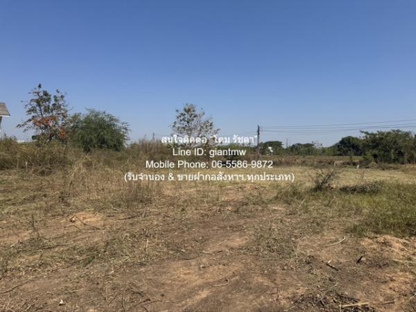 ���Թ���ͧ �� domepost66