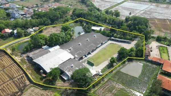 �ѹ���� �� Sawasdee