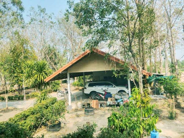 ��º�ҹ �Թ��� ��¹ҷ