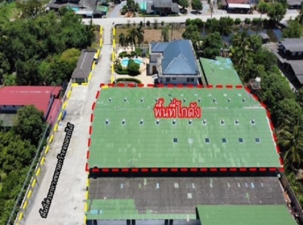 �Ѳ�� �� sumalee intavong