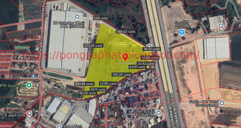 ���Թ 38 ���