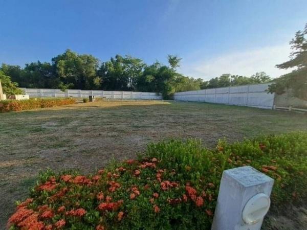 �ѵ�պ �� ahousepost9