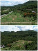 ��·��Թ �Ҥһ�С�Ȣ�� 45,000,000 �ҷ