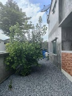 ��ǹ������� ������