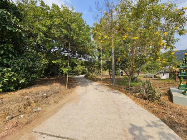 ���Թ �Դ����͹��յ 3,500,000 �ҷ