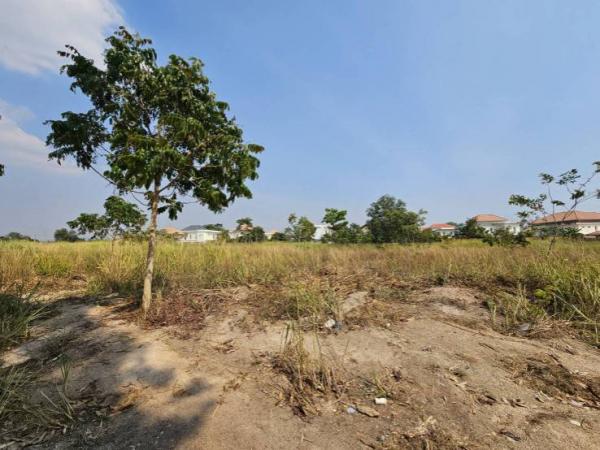 ���Թʹ���Թ ���ͧ